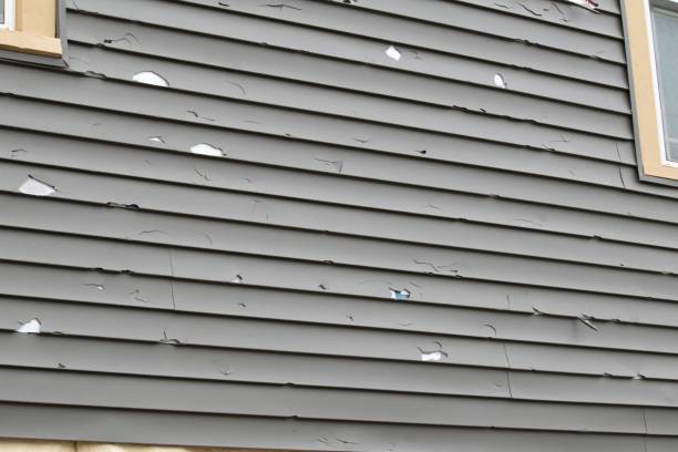 How To Choose The Right Materials for Your Siding Installation in 'Tigerville, SC